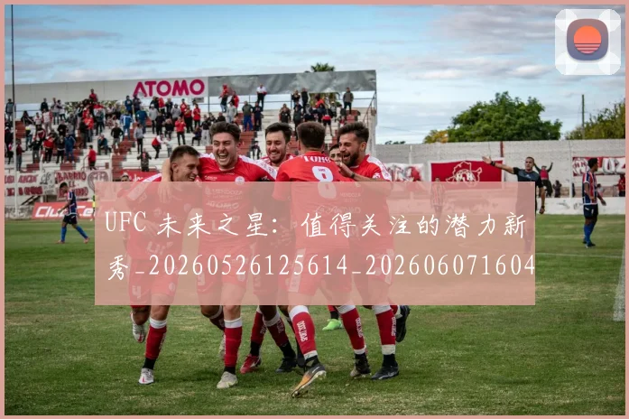 UFC 未来之星:值得关注的潜力新秀_20260526125614_20260607160433